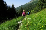 Anello di fiori sui Monti Vindiolo (2056 m) e Vetro (2054 m) da Pian Bracca (1111 m) di Zorzone di Oltre il Colle il 3 giugno 2015 - FOTOGALLERY